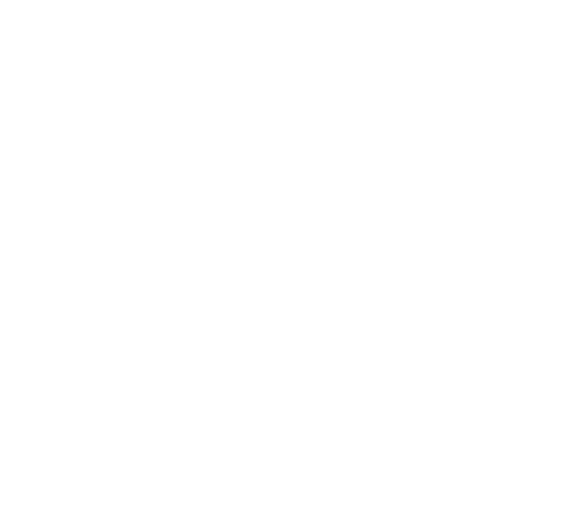 Worldcom Partner Agency